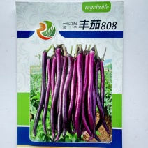 丰茄808茄子种子紫红线茄长种籽四季长线抗病蔬菜高产耐热耐湿