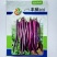 丰茄808茄子种子紫红线茄长种籽四季长线抗病蔬菜高产耐热耐湿