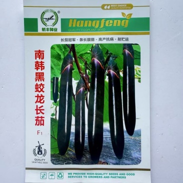 南韩黑蛟龙长茄种子早熟高产抗病耐贮运适广性强茄子种籽大田种孑
