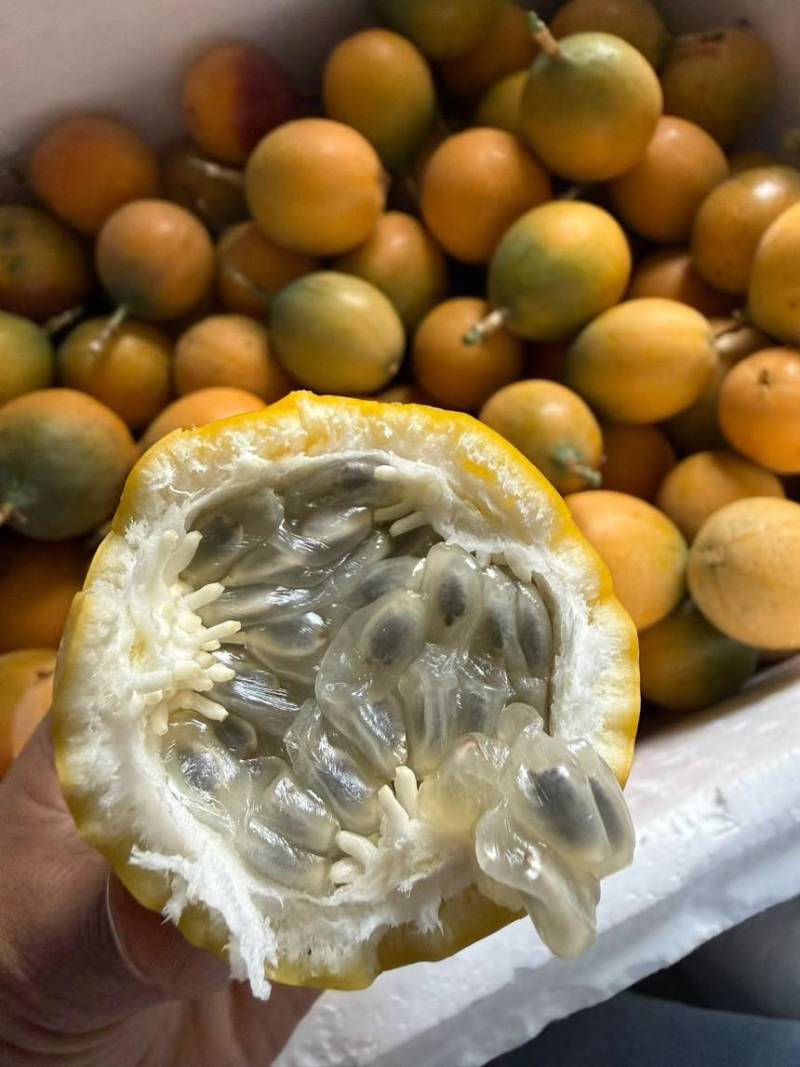 统货或分级热情果现摘现发