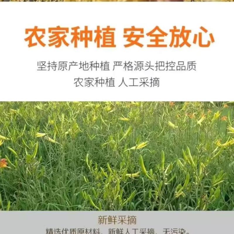 黄花干菜