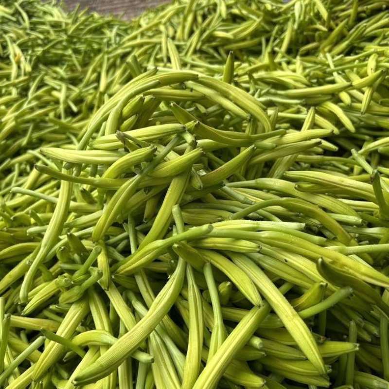 黄花干菜