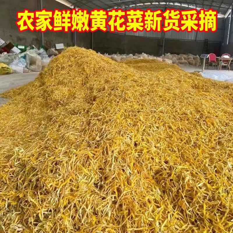 黄花干菜