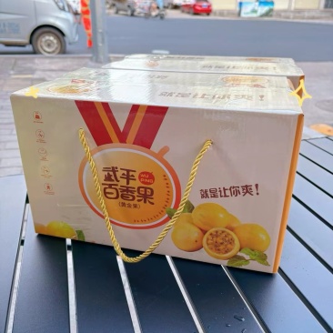 钦蜜九号百香果