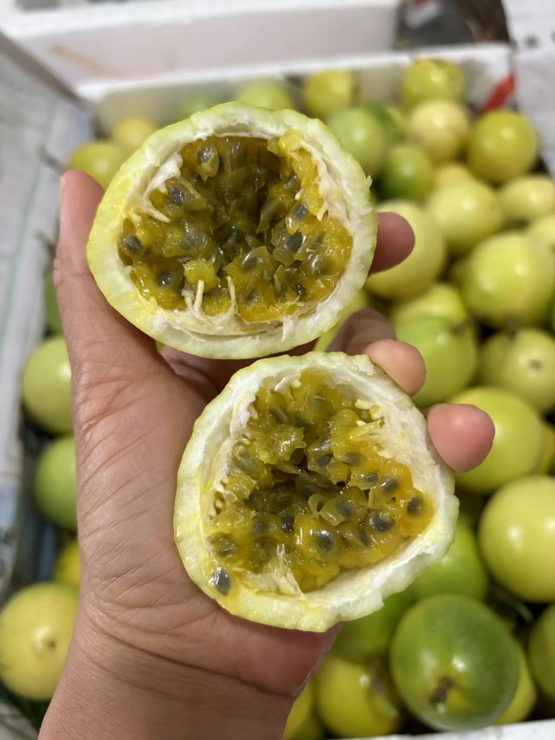 钦蜜九号百香果