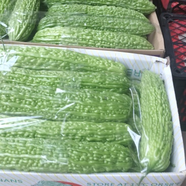 高山露天青苦瓜