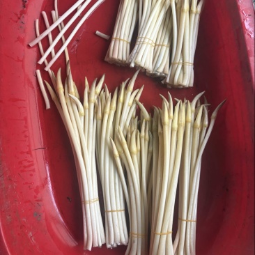 精品天然藕带A货
