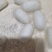 蚕茧