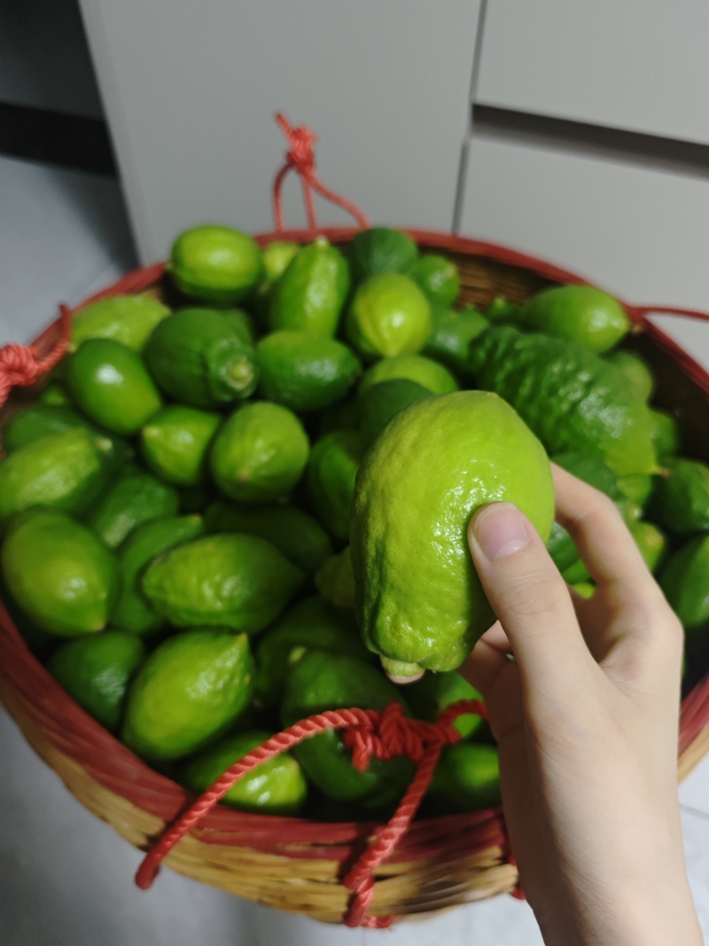 香水柠檬