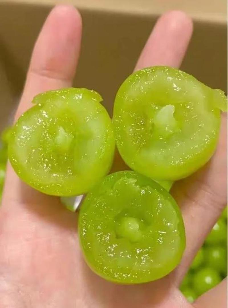 大荔县维多利亚青提葡萄，需要联系我价格不高