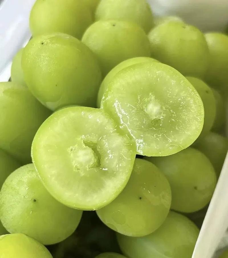 大荔县维多利亚青提葡萄，需要联系我价格不高