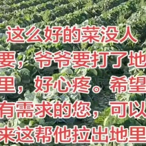 新鲜甘蓝，0.2上车