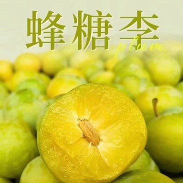 蜂糖李