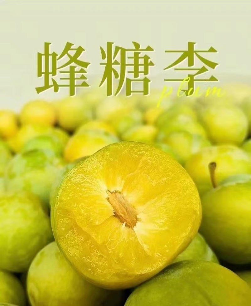 蜂糖李