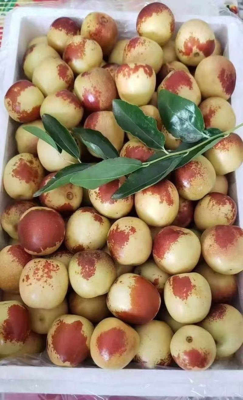 大荔冬枣