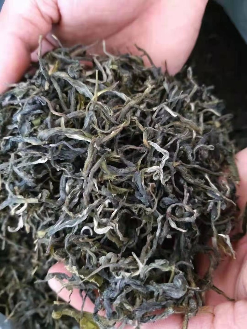 明前春茶