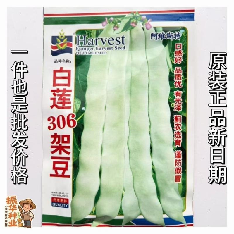 白莲306架豆种子无筋大白豆角种籽老来少芸豆九粒白四季豆种