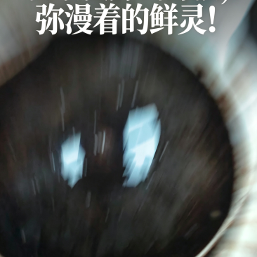 新鲜当年猛虾酱！自然日嗮发酵！纯正天然鲜香！虾油浓！醇！香！