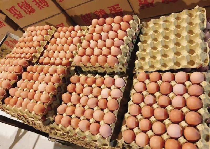 红壳鸡蛋厂里直发价格优美