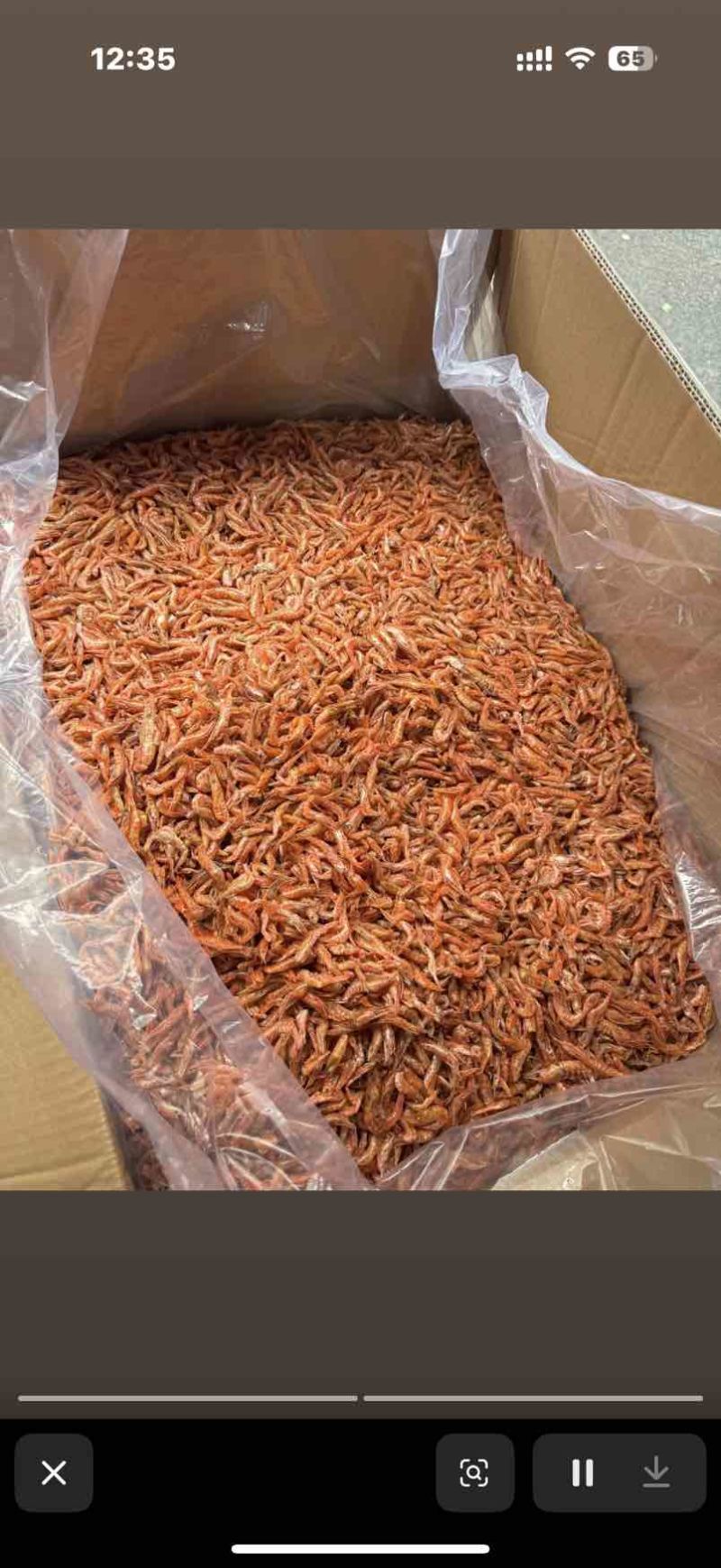 淡水无盐精品烘干河虾，干净卫生，颜色红红鲜亮