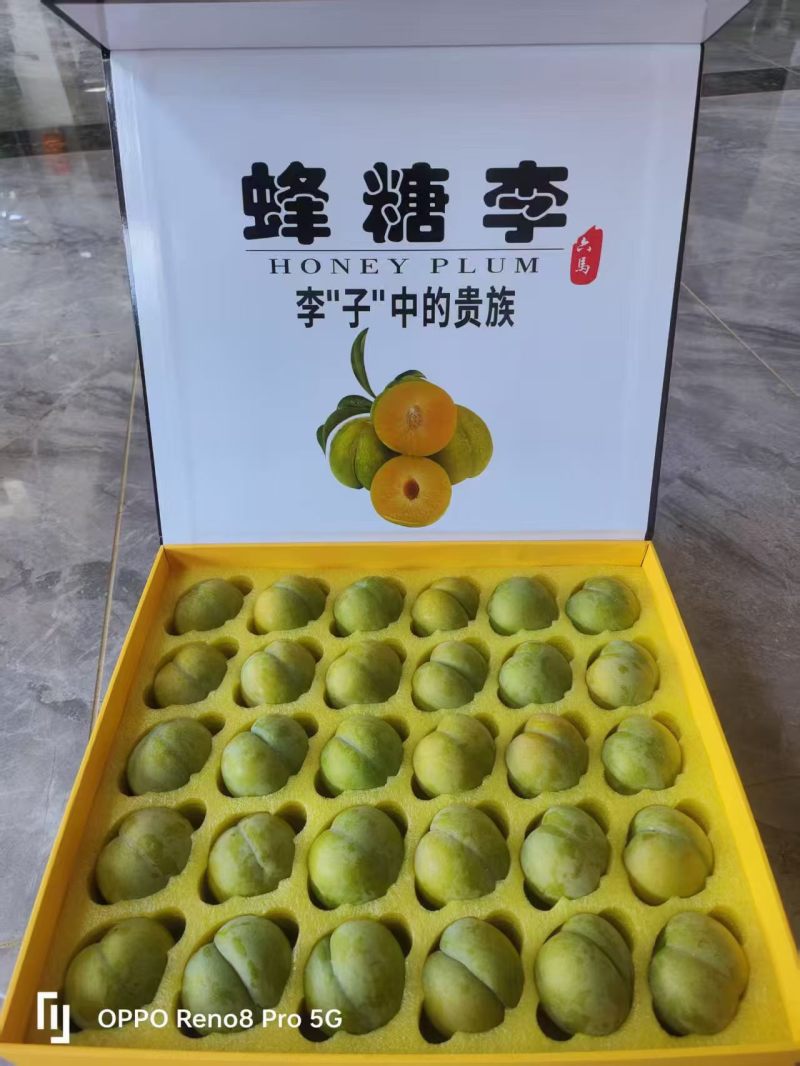 火热六月，甜蜜六马！李中“爱马仕”，味甜如蜜的六马蜂糖李。