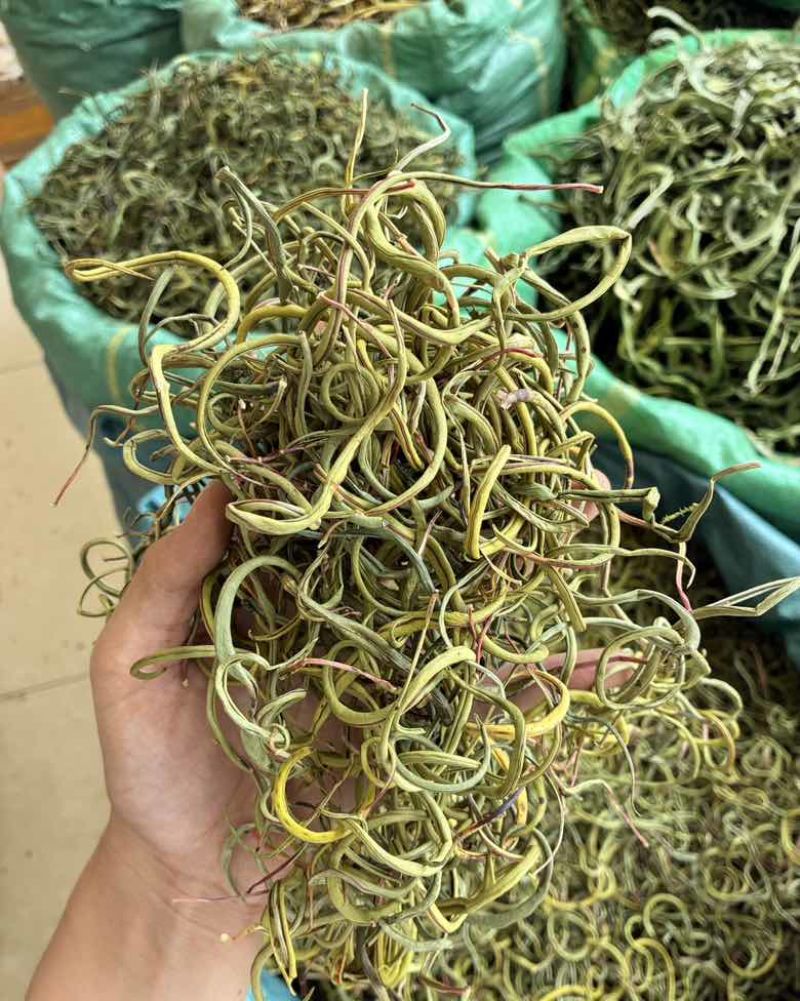 20626化石草新货颜色翠绿品质好几价格优需要的联系