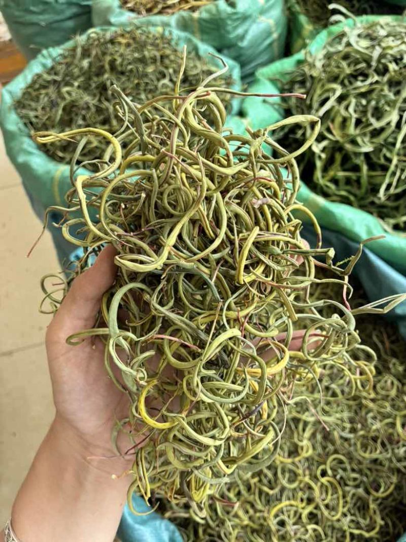 20626化石草新货颜色翠绿品质好几价格优需要的联系