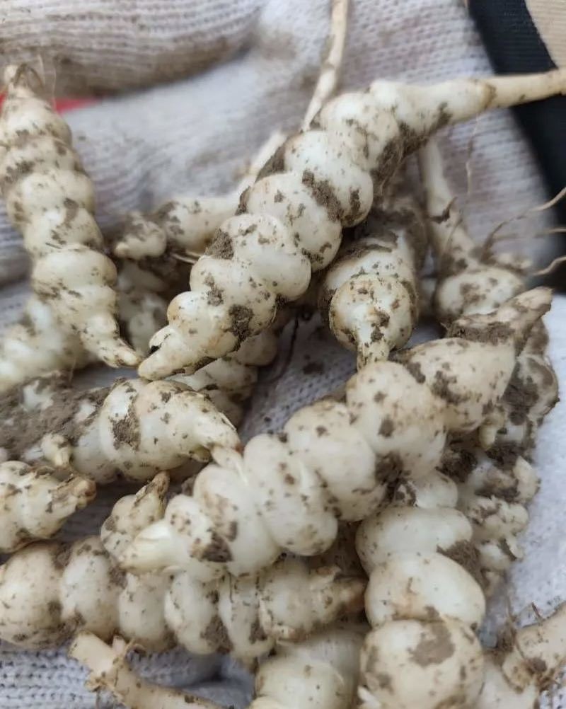 需要的老板滴滴