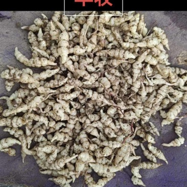需要的老板滴滴