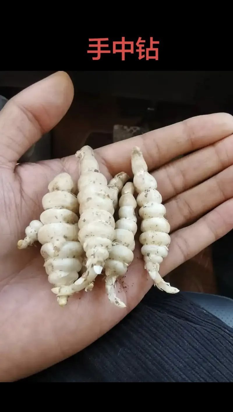 需要的老板滴滴