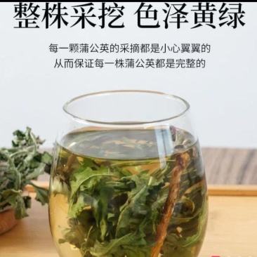 山西纯野生蒲公英干货