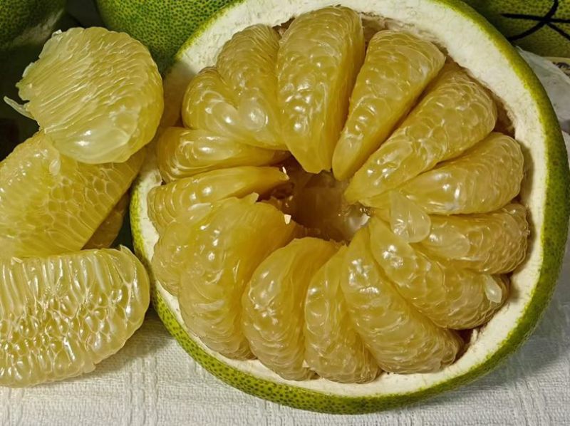 翡翠柚泰国青柚