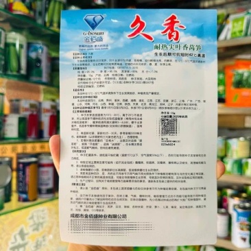 久香尖叶莴苣种子青笋种子耐热耐寒青皮绿肉莴苣种籽高产蔬菜种籽