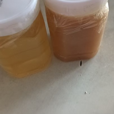 土蜂蜜洋槐蜜枣花蜜大量出售