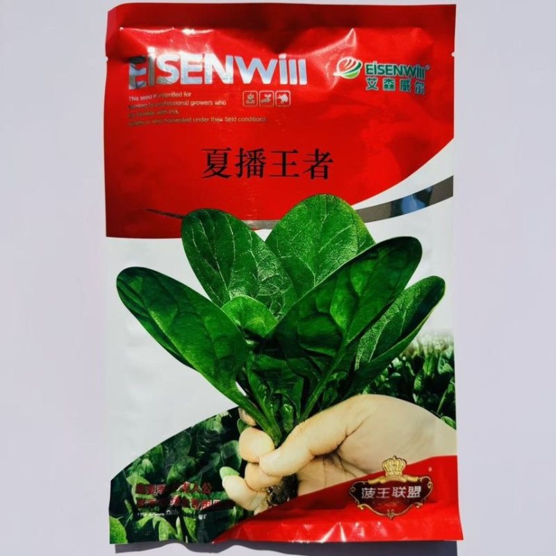艾森威尔夏播**菠菜种子耐高温耐抽薹大叶菠菜种籽基地专用