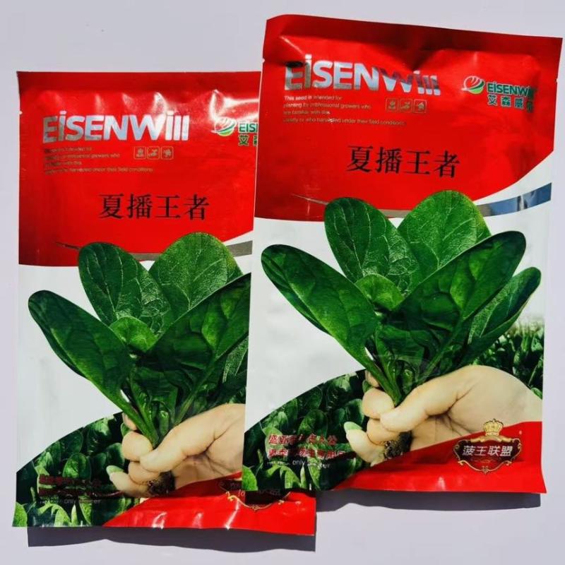 艾森威尔夏播**菠菜种子耐高温耐抽薹大叶菠菜种籽基地专用