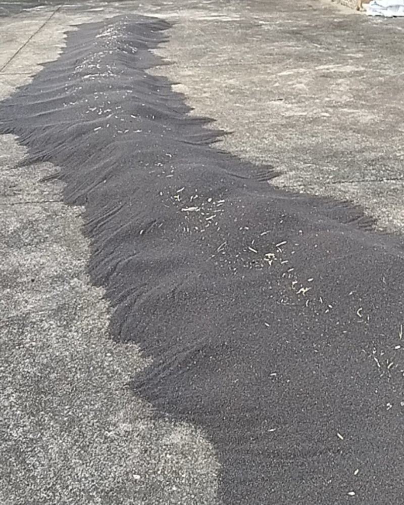 油菜仔