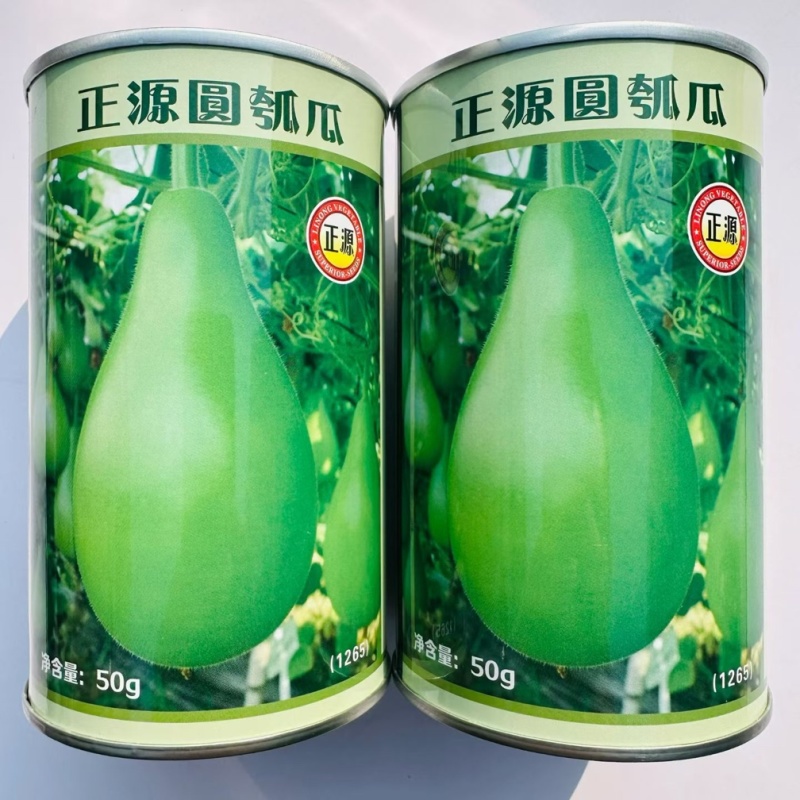 正源圆瓠瓜种子杂交一代油青翠绿瓠瓜种籽蒲瓜菜葫芦小瓠子种子
