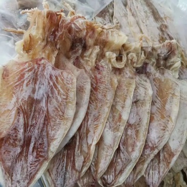 鱿鱼干轻微盐9.5成干新鲜刚晒的新产品
