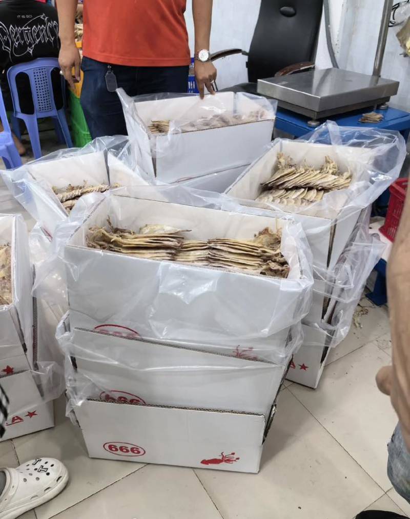 鱿鱼干轻微盐9.5成干新鲜刚晒的新产品