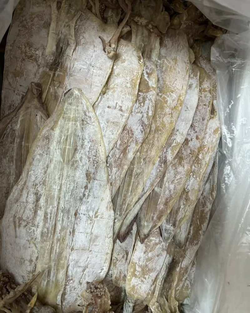 鱿鱼干轻微盐9.5成干新鲜刚晒的新产品