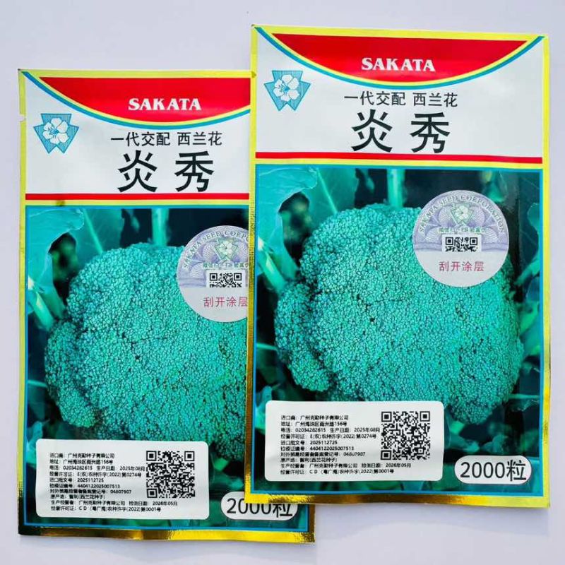 炎秀西兰花种子进口耐热西兰花种籽有机青花椰菜种子原装