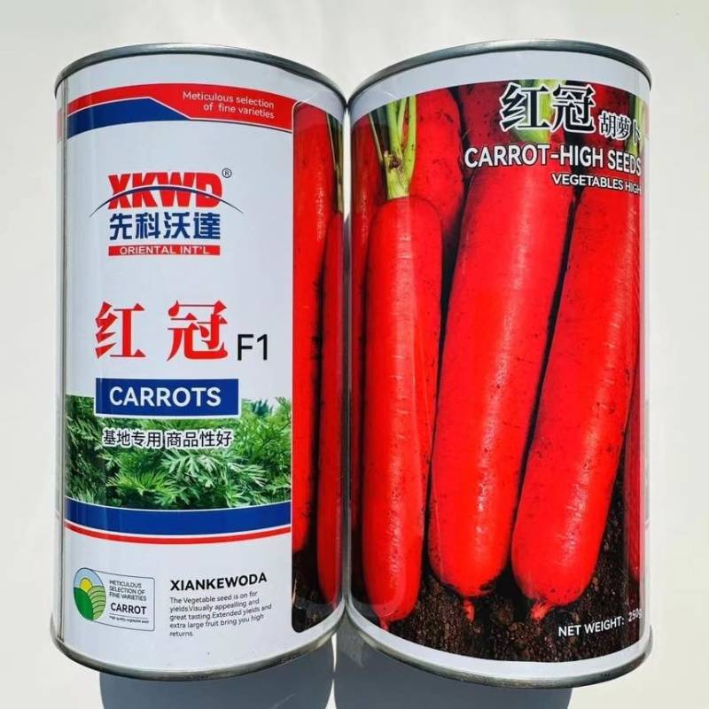 红冠三系杂交胡萝卜种子红色萝卜国外引进三红胡萝卜种子籽耐