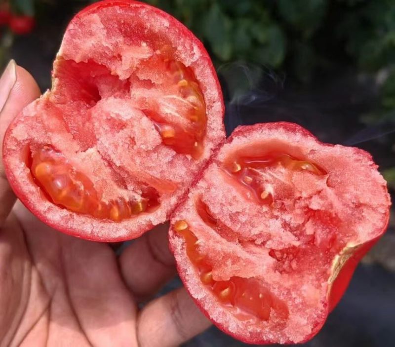 桃梦茜桃星桃太粉西红柿种籽大果番茄种子口感沙瓤大果四季蔬菜籽