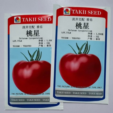 桃星番茄种子日本进口泷井粉果西红柿种子硬度高口感好蔬菜种子