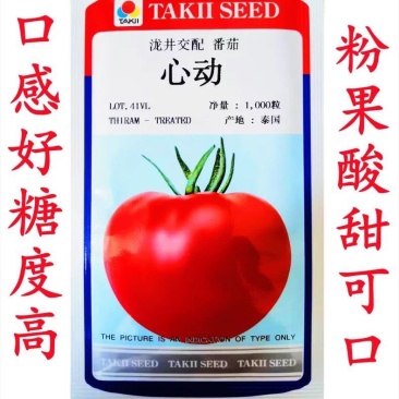 心动水果番茄桃星桃太粉桃梦茜夏之宝石番茄种子日本泷井番茄