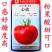 心动水果番茄桃星桃太粉桃梦茜夏之宝石番茄种子日本泷井番茄