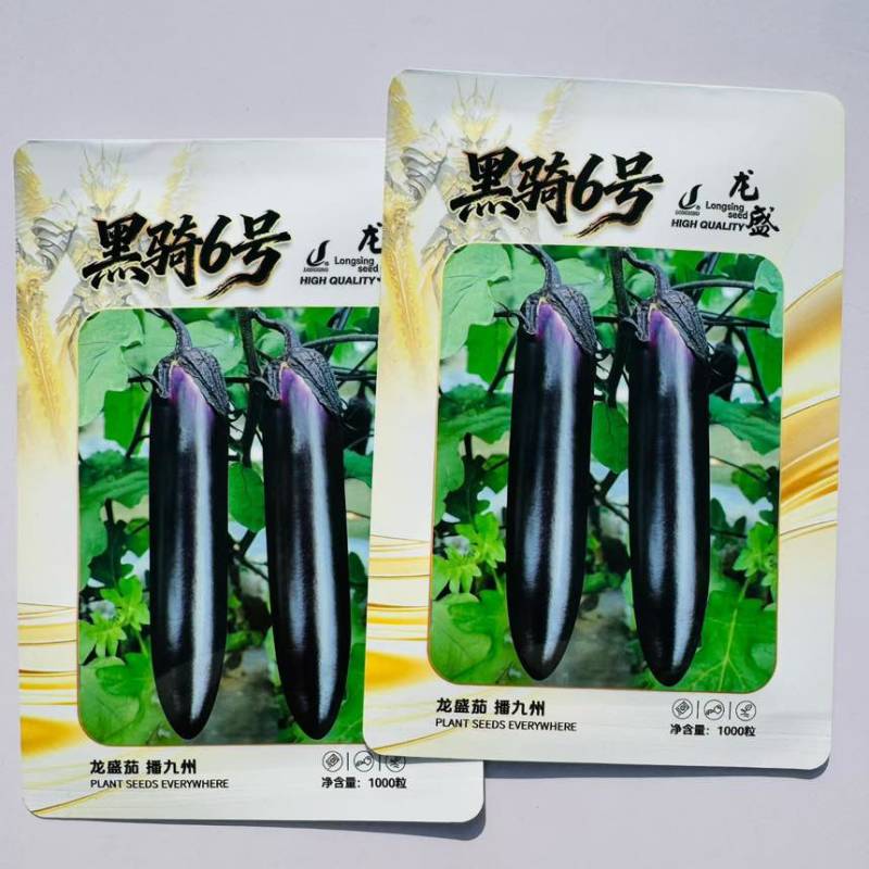 黑骑6号茄子种子杂交一代油黑长棒茄种子果肉淡绿长棒黑茄子种子