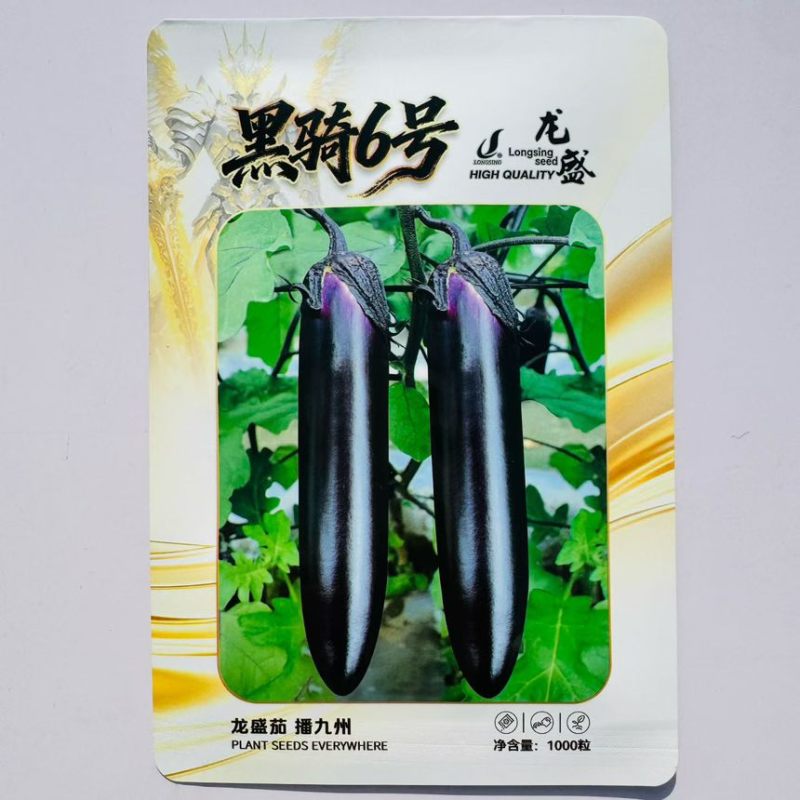 黑骑6号茄子种子杂交一代油黑长棒茄种子果肉淡绿长棒黑茄子种子