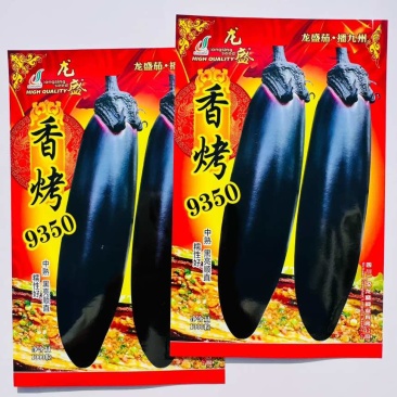 黑骑6号茄子种子杂交一代油黑长棒茄种子果肉淡绿长棒黑茄子种子